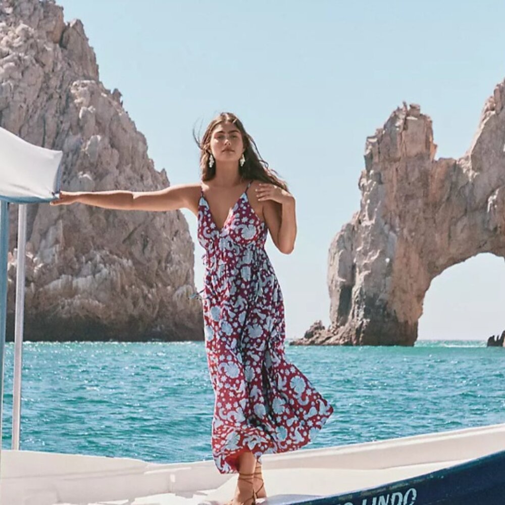LOFT Burgundy and Blue Floral Dress
